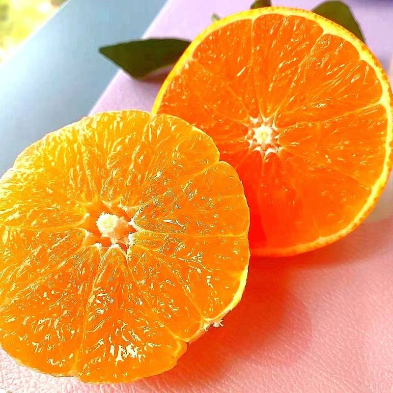 皮薄如纸，细嫩无渣、酸甜多汁，又特别好剥，无籽纯甜
