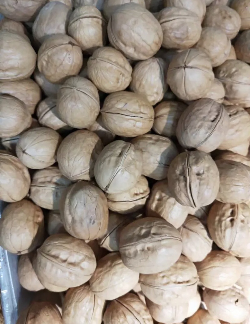 纸皮熟核桃，义乌休闲小零食，精选优质果欢迎选购