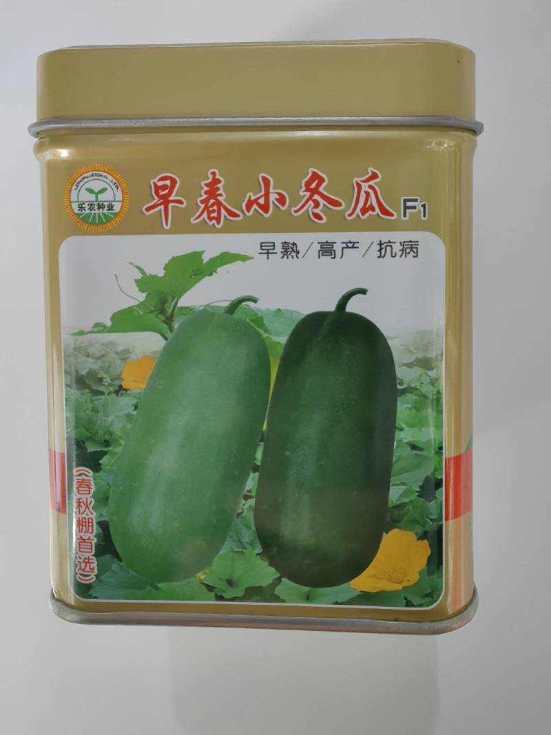 早春小冬瓜种子杂交粉皮白皮小冬瓜迷你冬瓜水果冬瓜种子籽孑