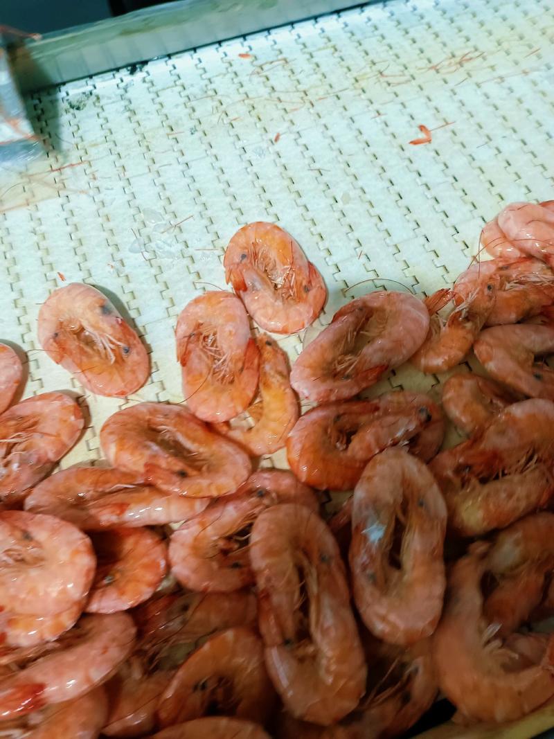 水煮虾对虾湿虾南美白虾批发，全国冷链物流发货