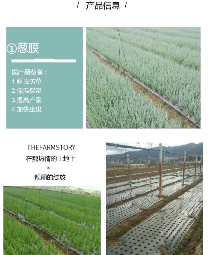 农用地膜打孔地膜