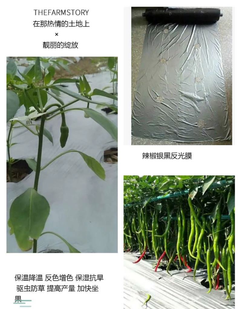农用地膜打孔地膜