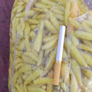 腌制，真空包装，野山椒.白泡椒，大量供应，有需要的请联系