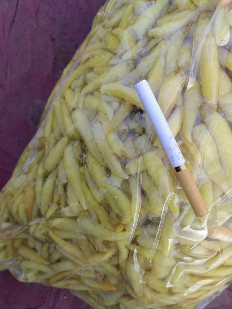 腌制，真空包装，野山椒.白泡椒，大量供应，有需要的请联系