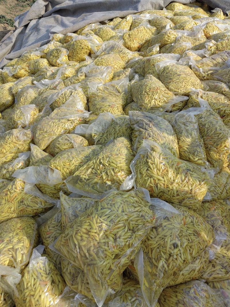腌制，真空包装，野山椒.白泡椒，大量供应，有需要的请联系