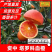 正宗塔罗科血橙坏果包赔现摘精选果，口感好鲜嫩多汁
