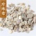珍珠母珠牡丹珠母真珠母中药材明珠母蚌壳包邮