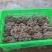 平菇大量有货，可提供冷库打冷！