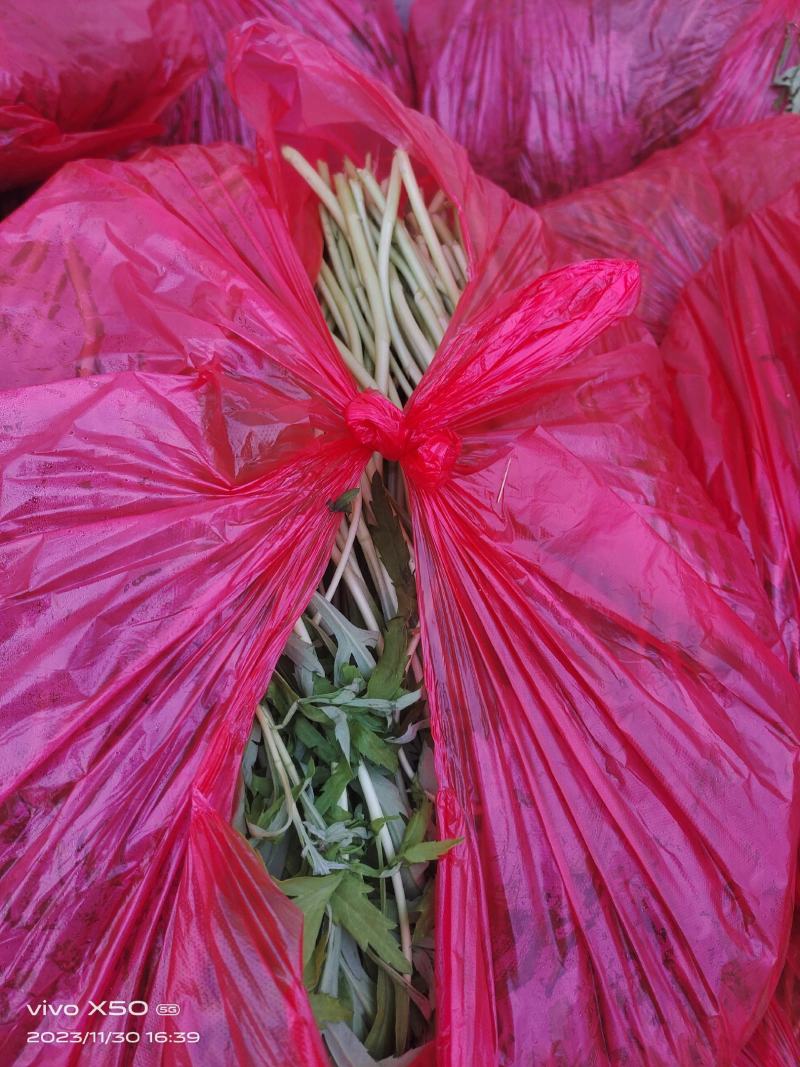 芦蒿