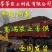 稻壳鸭粪【农业专用】全国发货长期稳定质量好有机肥