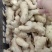 沙土地生姜产地直发,一手货源,价格便宜,质量好