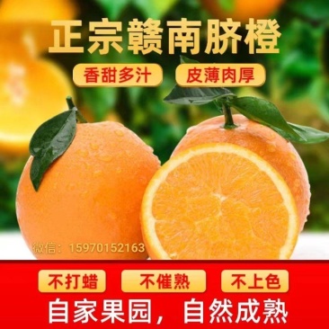 赣南脐橙