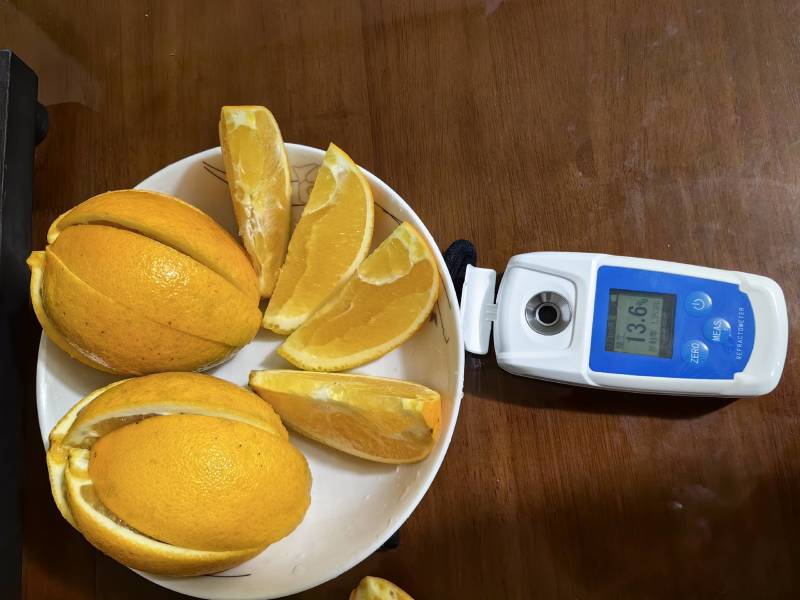 木瓜蜜丁纯甜橙子基地直供支持各种包装