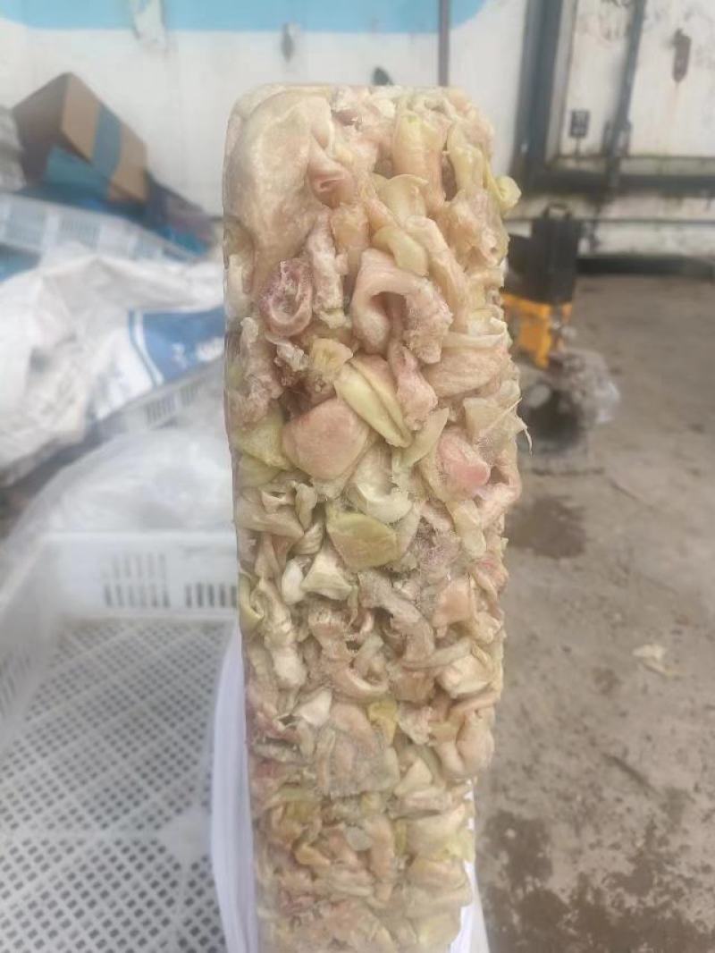 嗉皮