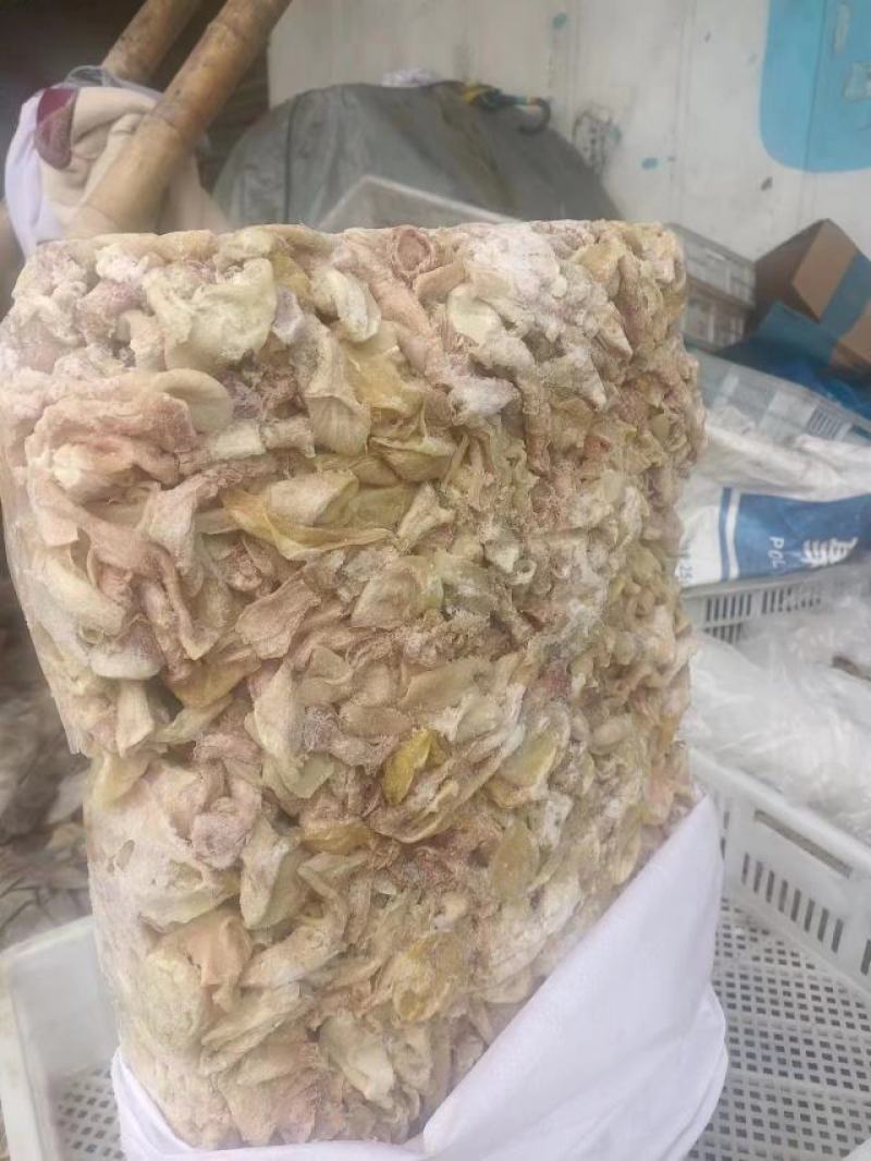 嗉皮