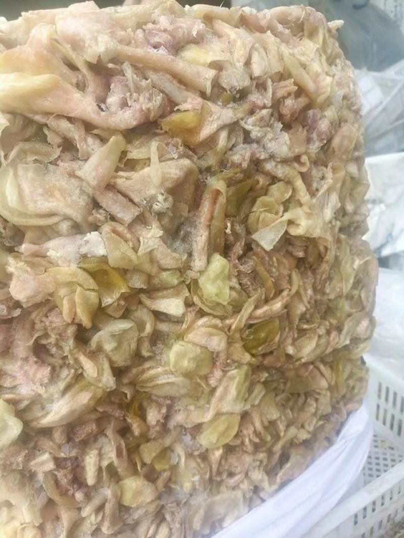 嗉皮