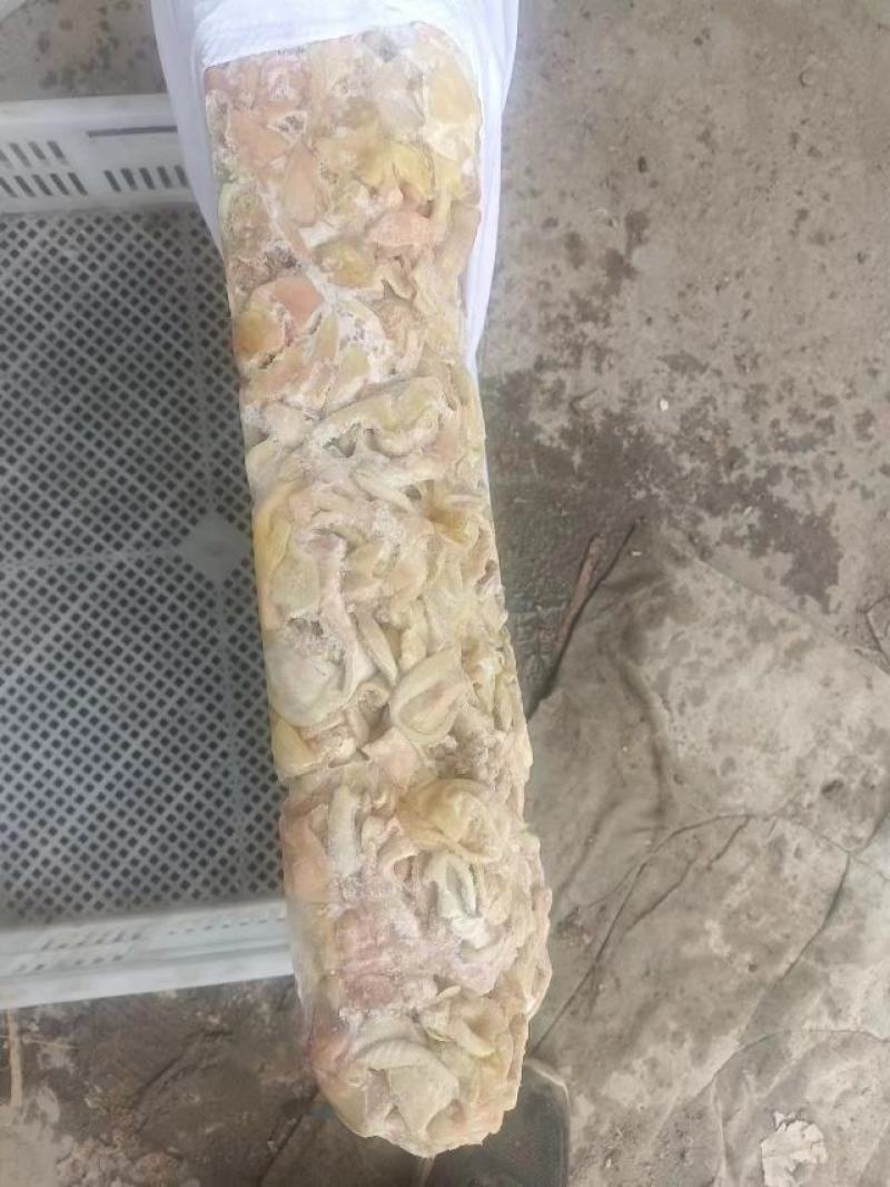 嗉皮