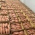 西瓜红红薯河北精品红薯产地直发诚信经营全国发货