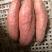 烟薯25河北烟薯蜜薯供应各大电商社区团购保质保量