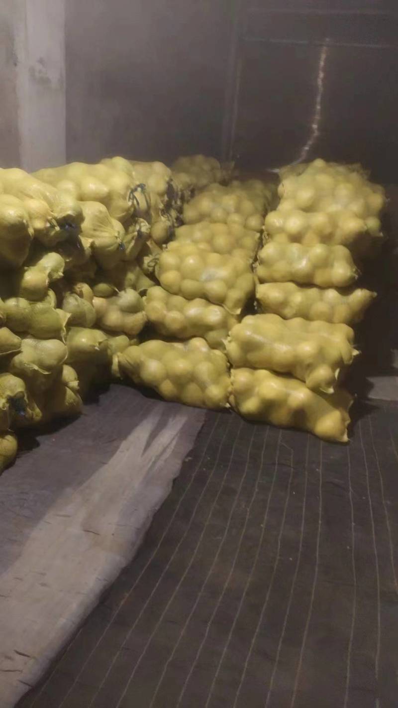 真龙柚货源充足基地直发量大从优欢迎老板选购可视频