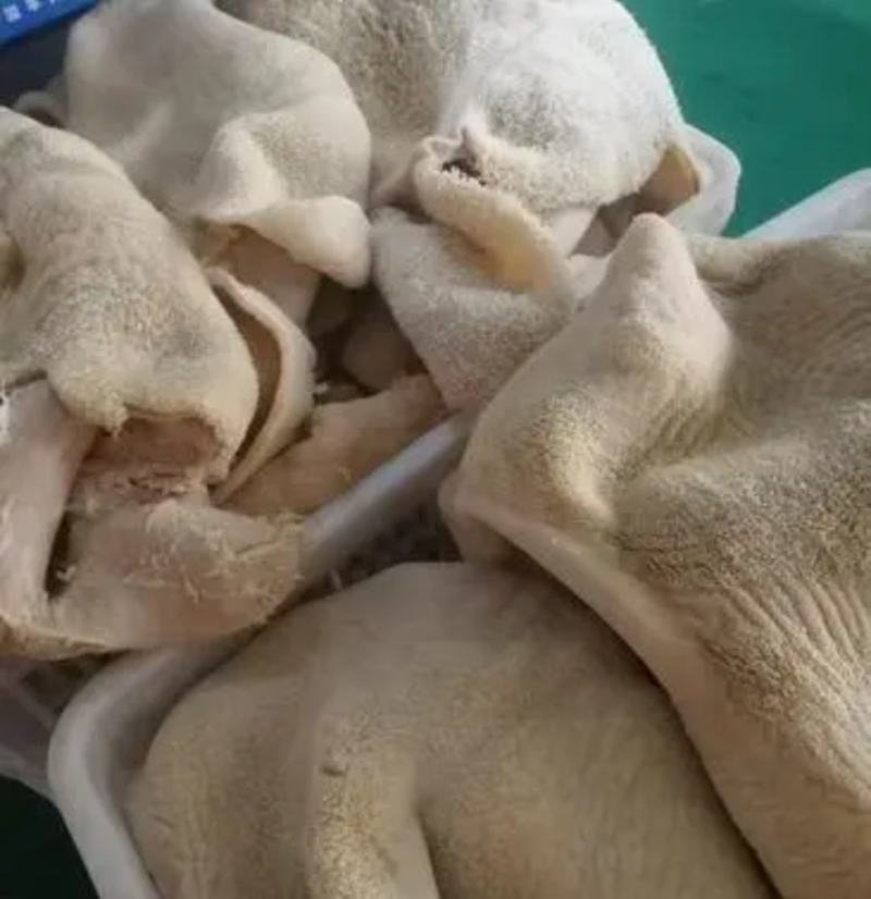 牛大肚牛整肚牛草肚整块个子水发货工厂直发火锅冒菜食堂批发
