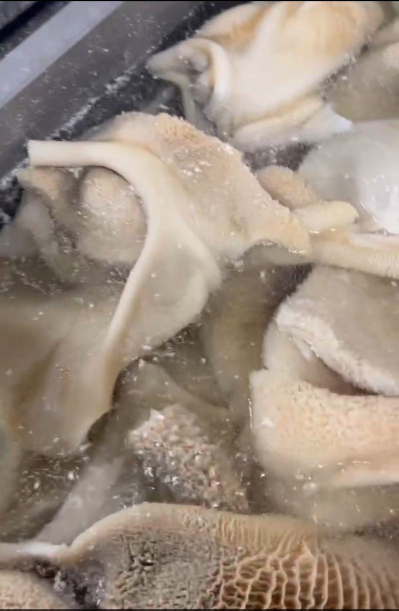 牛大肚牛整肚牛草肚整块个子水发货工厂直发火锅冒菜食堂批发