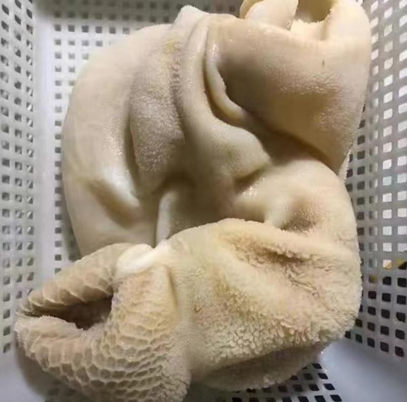 牛大肚牛整肚牛草肚整块个子水发货工厂直发火锅冒菜食堂批发