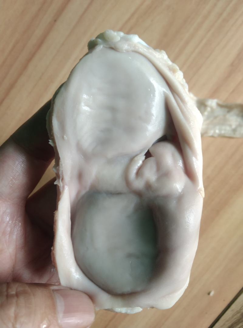 新鲜鹅肾，鹅胗