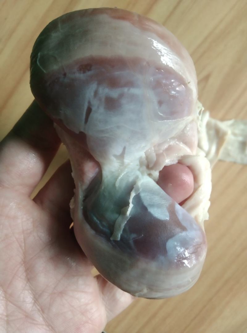 新鲜鹅肾，鹅胗