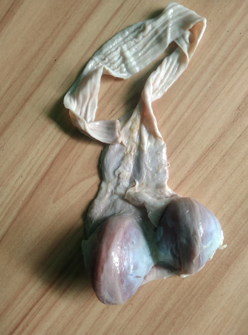 新鲜鹅肾，鹅胗