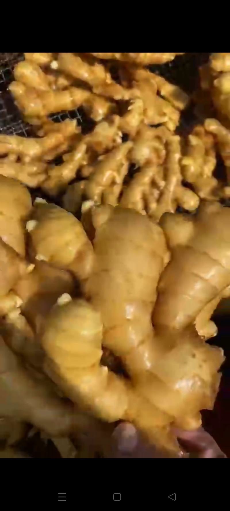 生姜