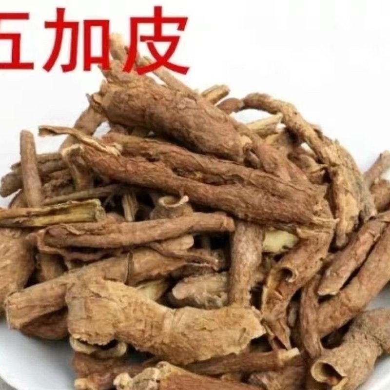 中药材香五加皮北五加香五加皮根泡酒料散装新货包邮
