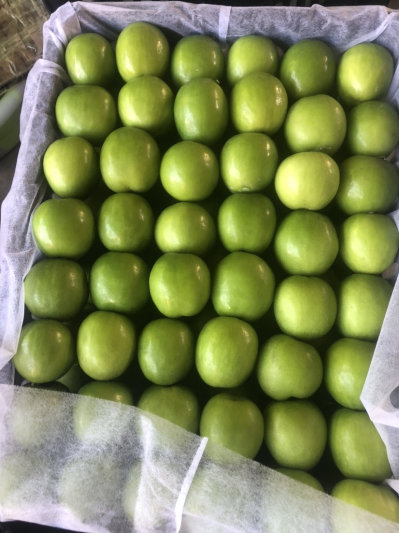 云南应季水果青枣