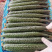 广东密刺黄瓜（青瓜)精品，电商平台，食堂新鲜一手货源直发