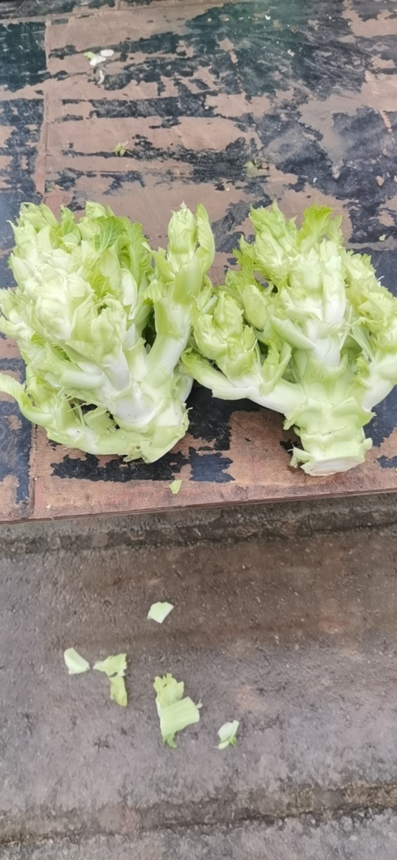 儿菜