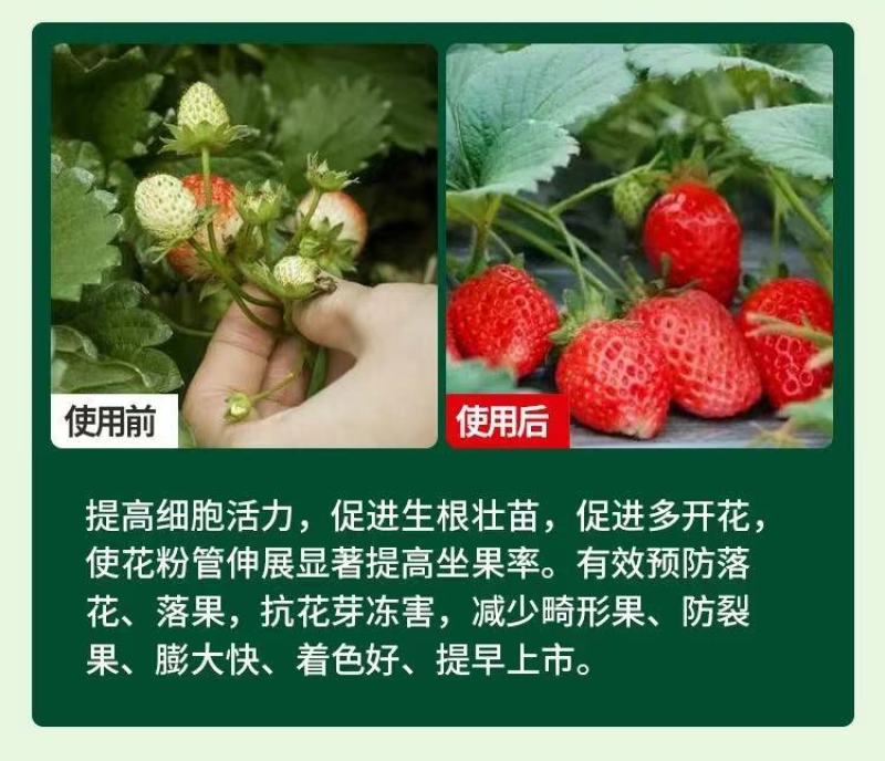 深海鱼油蛋白熬合肽，蛋白质及维生素果实膨大色泽好，吸收好