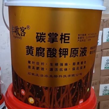 碳掌柜液体肥刺激根系生长促进细胞分裂生根壮苗促进果实膨大