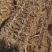 陕北定边玉米草捆大量有货草捆大没沙土没任何杂志