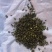 槲寄生500g桑寄生片槲寄生桑上寄生槲木包邮包邮