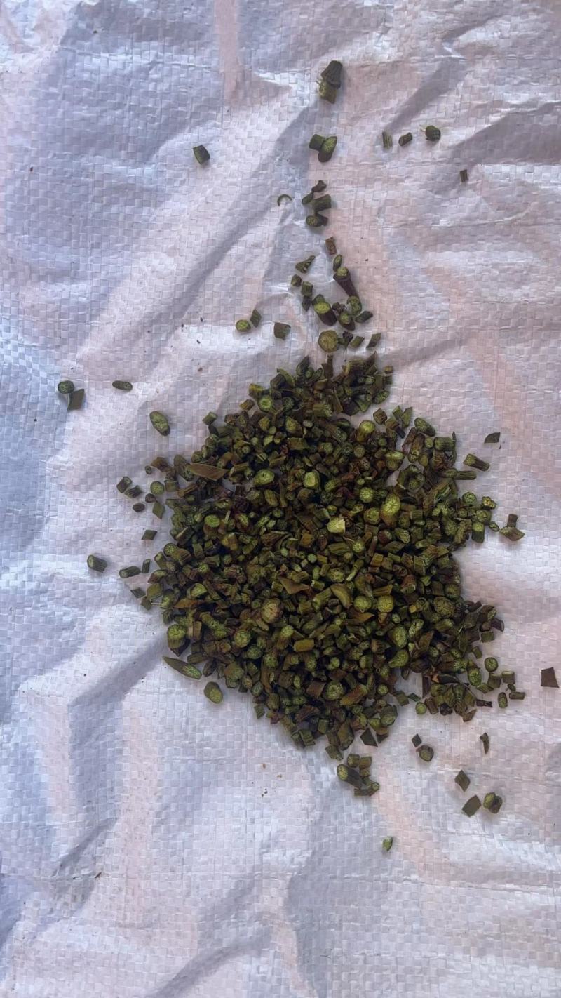 槲寄生500g桑寄生片槲寄生桑上寄生槲木包邮包邮
