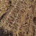 陕北定边玉米草捆大量有货草捆大没沙土没任何杂志