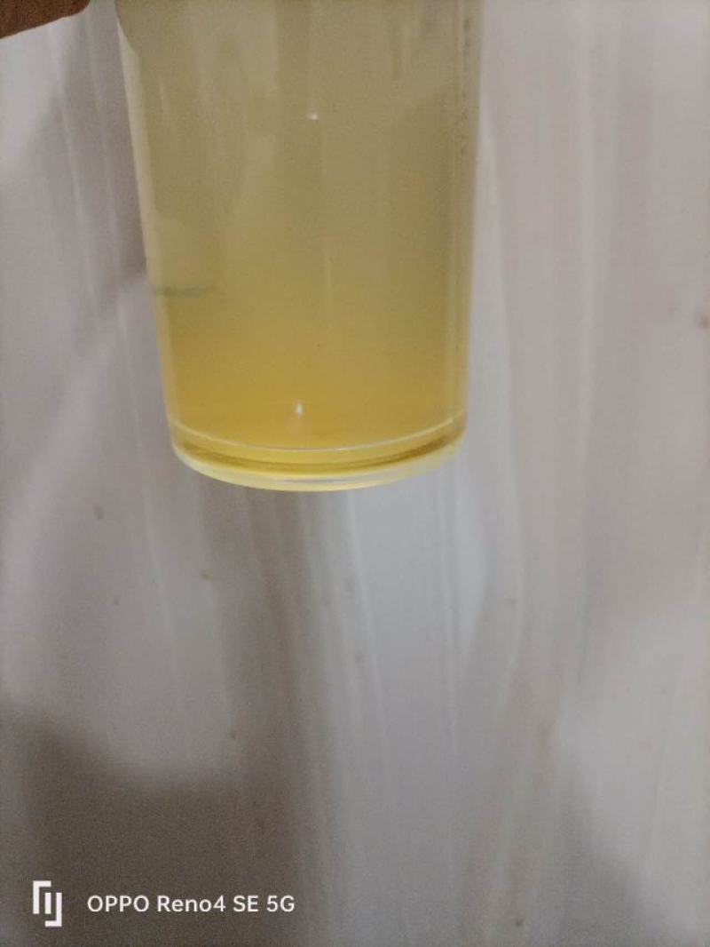 农家土蜂蜜百花中蜂