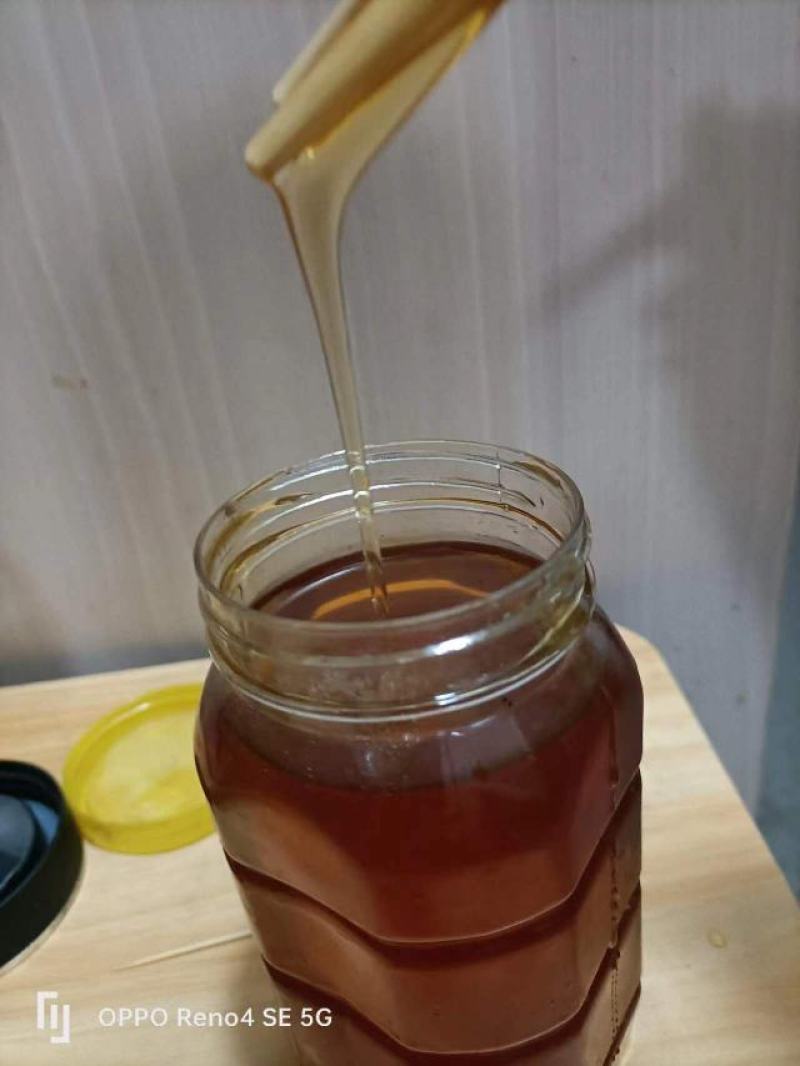 农家土蜂蜜百花中蜂