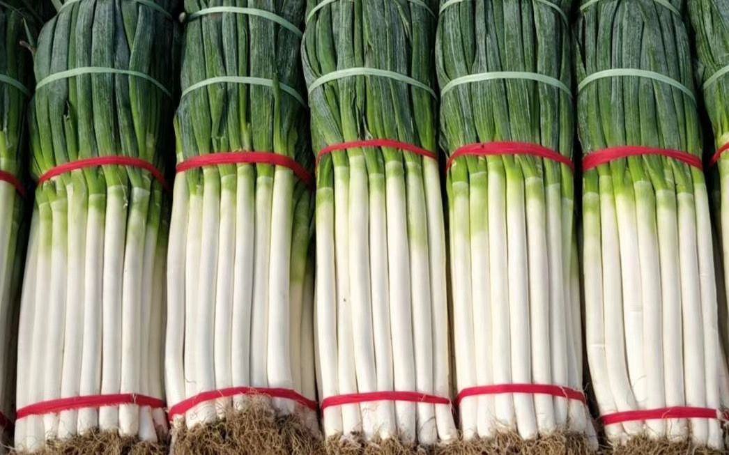 产后饮食中的大葱使用场景