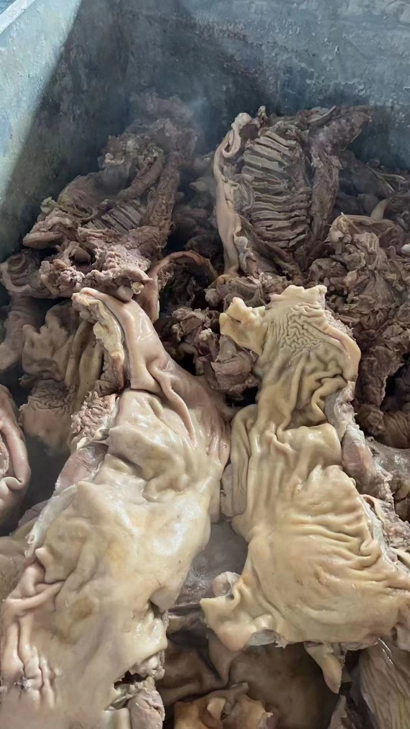 带皮羊肉去皮羊肉羊胴体羊头肉羊蹄羊杂现货供应厂家直销