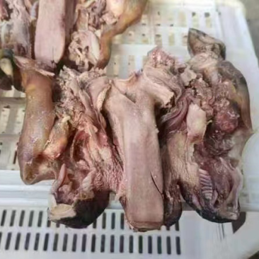 熟牛头肉