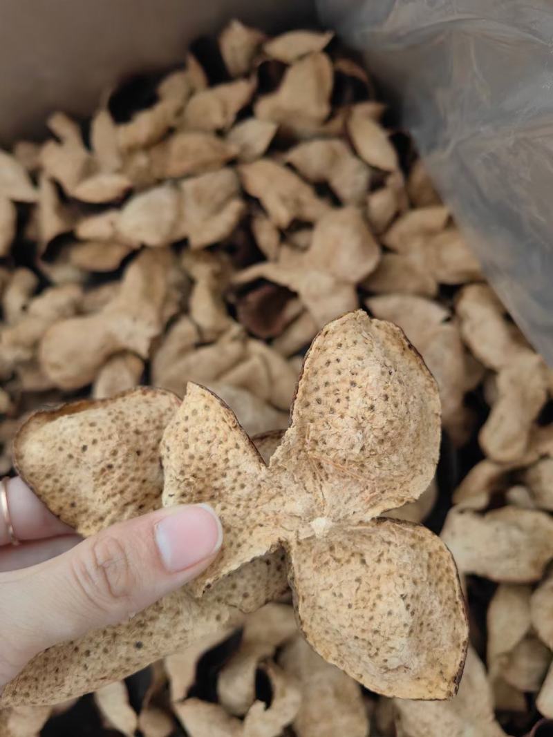 陈皮礼盒装纯干仓十年新会天马陈皮250克玻璃瓶礼盒装