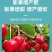 海藻甲壳素液体肥微生物菌肥含有多种微量元素水溶性好
