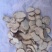天花粉批发，货源充足，量大从优，可视频看货可包邮