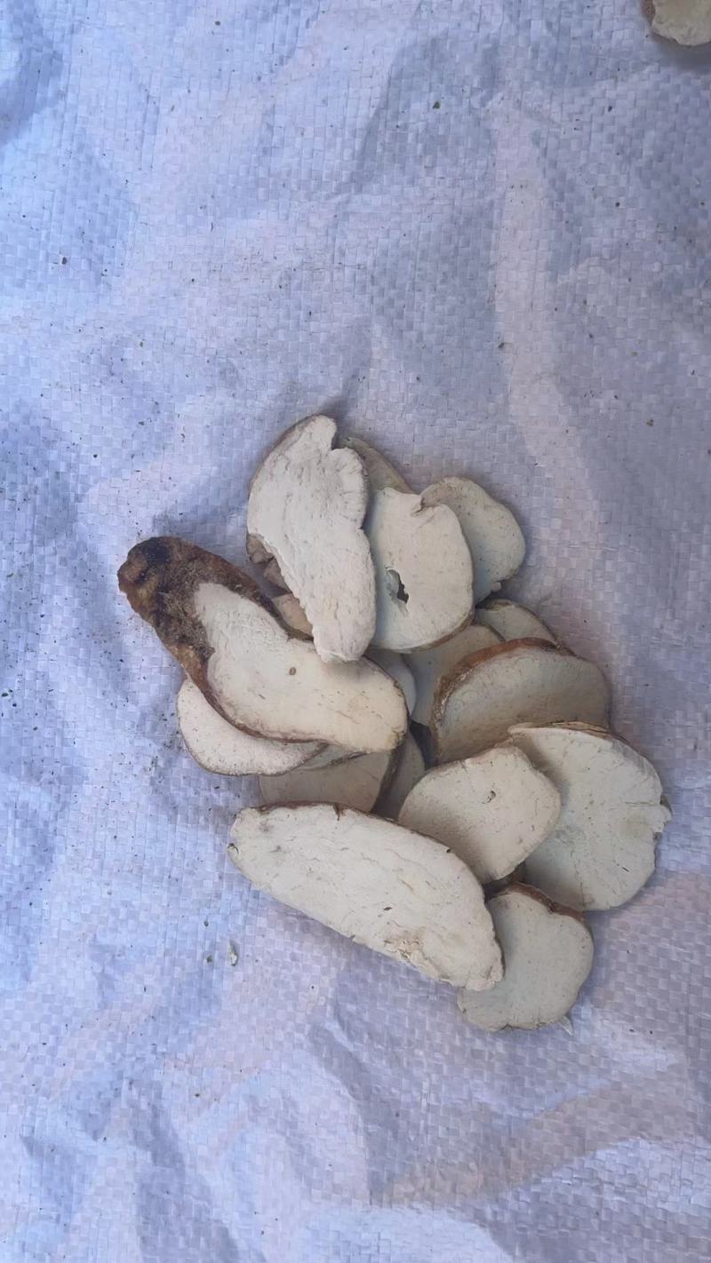 天花粉批发，货源充足，量大从优，可视频看货可包邮
